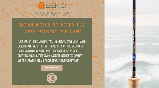 Introduction to Meeko Fly Lab's "Inside the Lab"